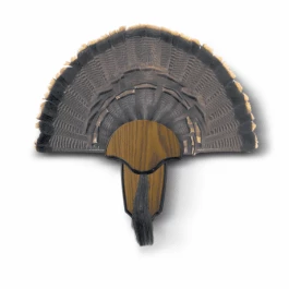 Hunters Specialties Strut Turkey Fan Mounting Plaque 1 Hunters Specialties Strut Turkey Fan Mounting Plaque