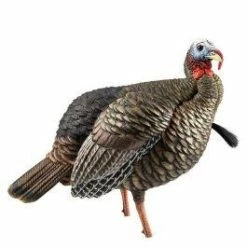 Avian-X HDR Jake Decoy