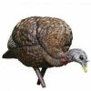 Avian-X LCD Feeder Hen Decoy