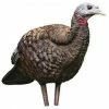 Avian-X LCD Breeder Hen Decoy