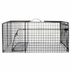 Bridger Raccoon Cage Trap - 12 X 12 X 29