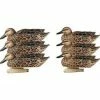 Avery PG Blue-Winged Teal-Early Season Hen Pack (1/2 Dozen)