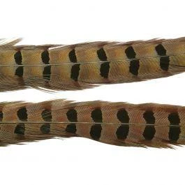 Wapsi 1 Pair Ringneck Pheasant Tail Feathers 1 Wapsi 1 Pair Ringneck Pheasant Tail Feathers