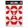 Thompson Target Lg Scope 15x19 Targets 10 Pack