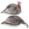 Hunters Specialties Hunter's Specialties Strut-Lite Jake & Hen Turkey Decoy Combo