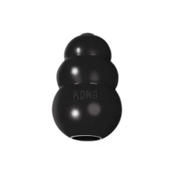 Kong Company Kong Extreme Medium Dog Toy