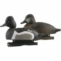 Avery Life-Size Ring-Necked Ducks (1/2 Dozen)