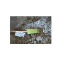 Chene Anchors The Chipmunk