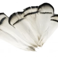 Wapsi Lady Amherst Pheasant Tippets